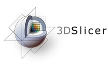 3D Slicer