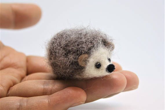 hedgehog