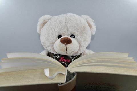 bear reading