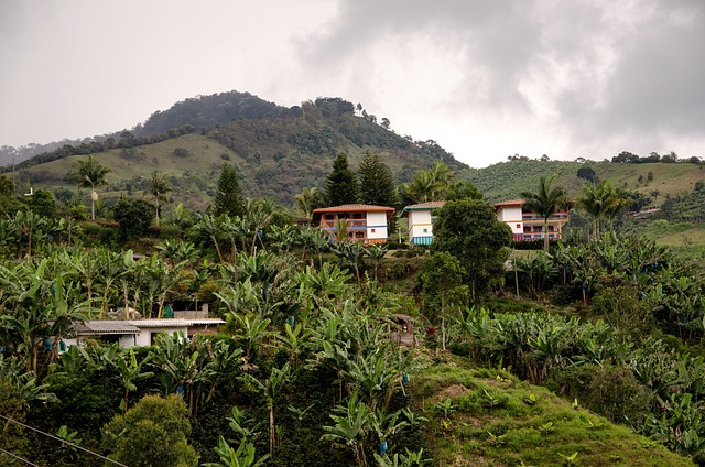 Colombian rural