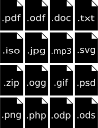 computer file types
