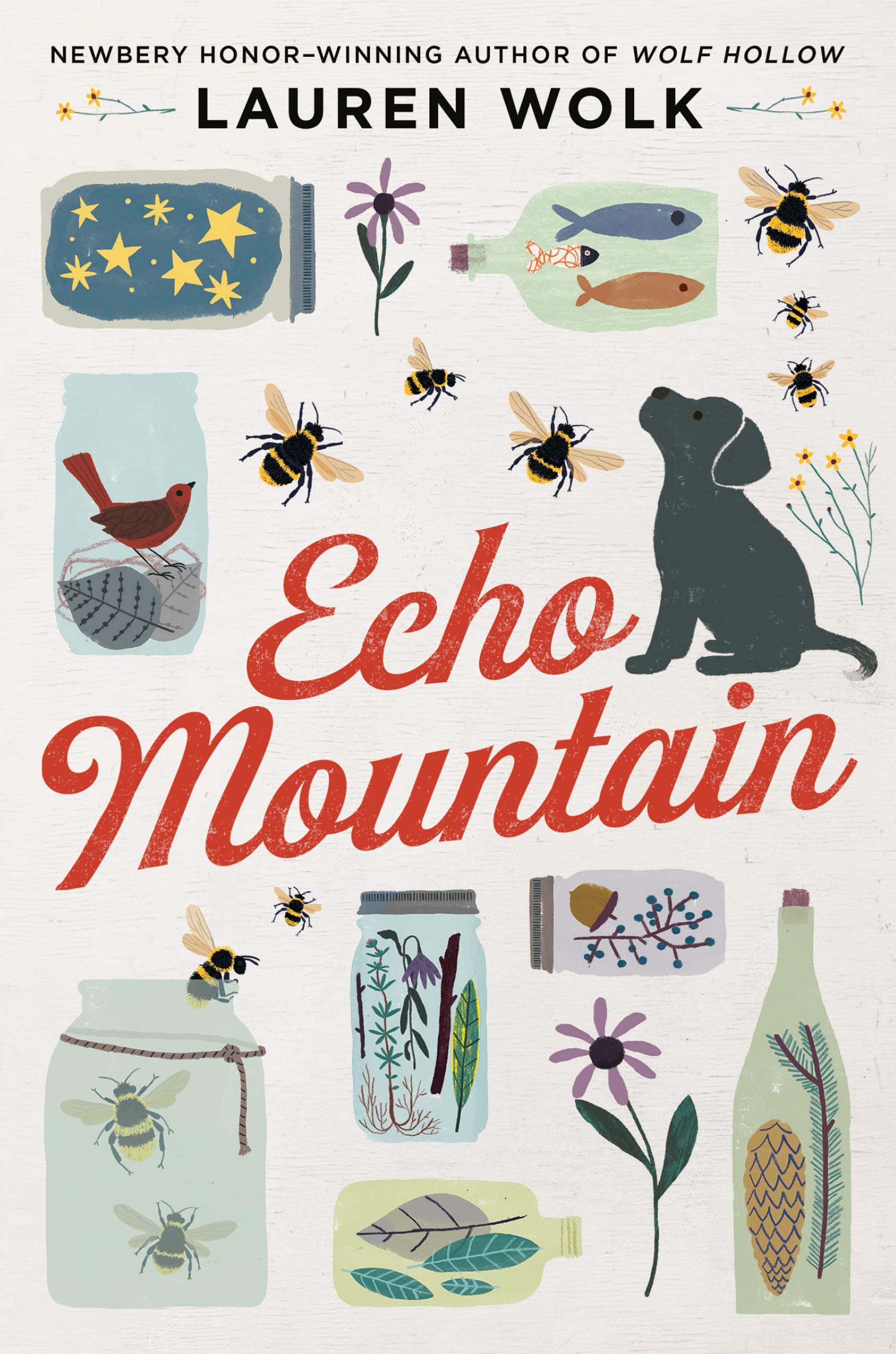 Echo Mountain Echo Mountain
