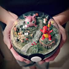 Pokemon Terrarium