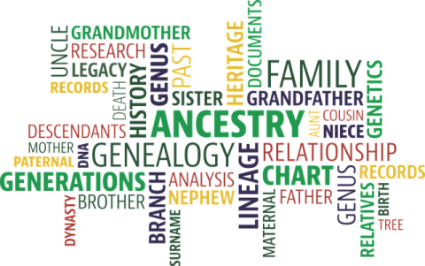 genealogy word cloud