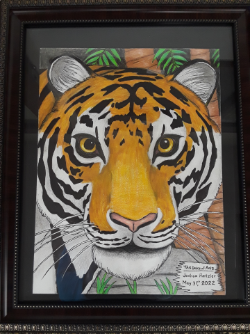 tiger
