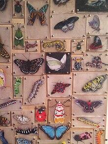 Shrinky dinks