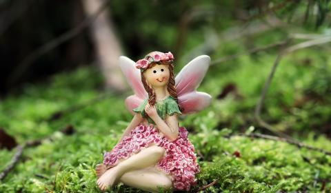 fairy