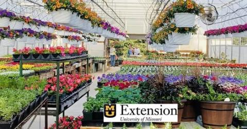 CMMG Greenhouse