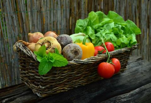 basket of vegetables including turnips, peppers, tomatoes