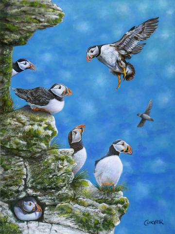 Atlantic Mascot Puffins