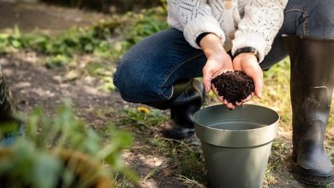 composting