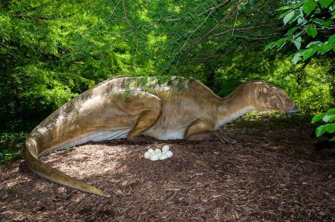 Missouri Dinosaur-pic from Mo Sec. of State website