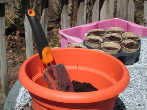 container of dirt with trowel and baby containers nearby