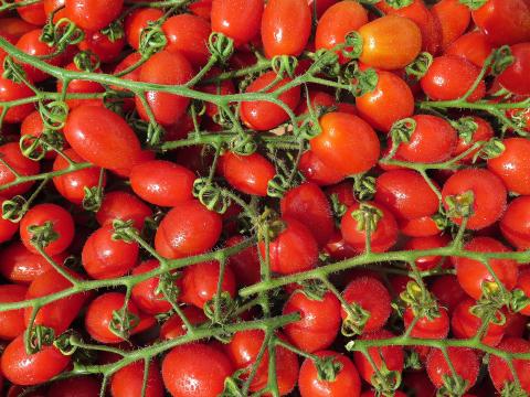 many small red tomatoes pixabay
