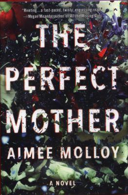 The Perfect Mother