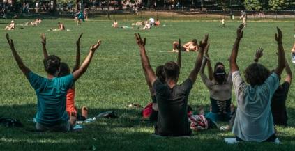 Picture of a group of yoga practitioners in a park.