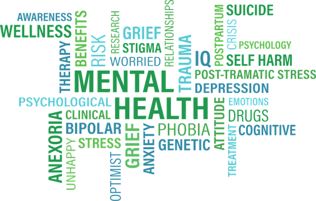 word cloud