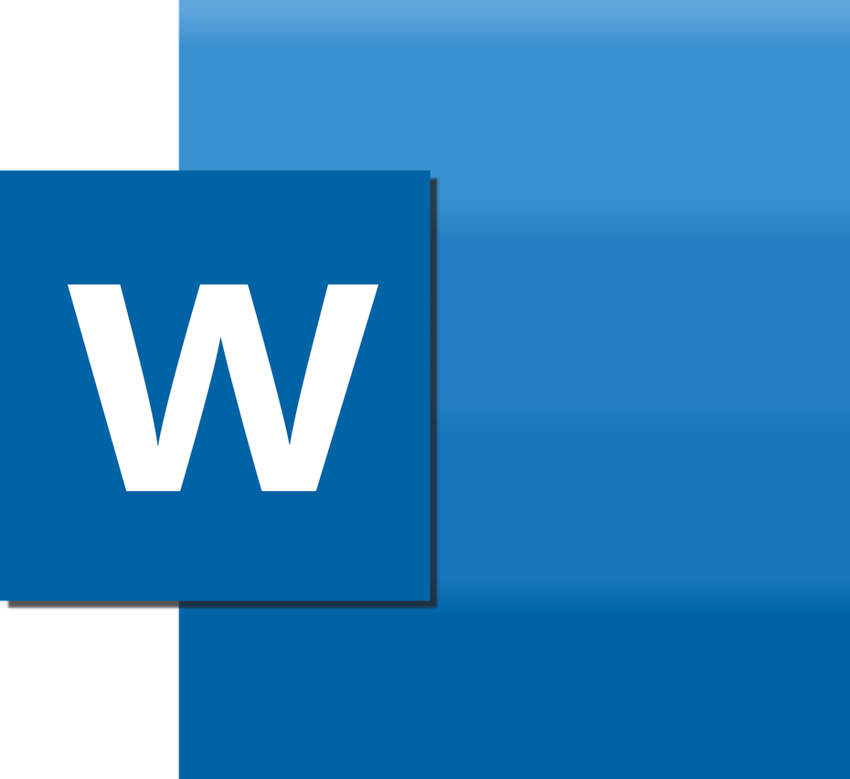 Microsoft Word