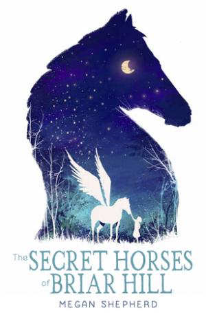 The Secret Horses of Briar Hill