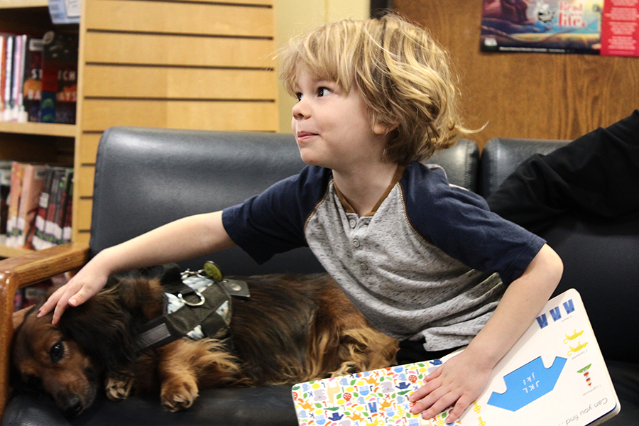 Young boy petting a therapy dog with an open book in his lap